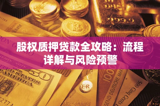 北京股权质押贷款全攻略：流程详解与风险预警