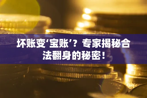 北京坏账变‘宝账’？专家揭秘合法翻身的秘密！