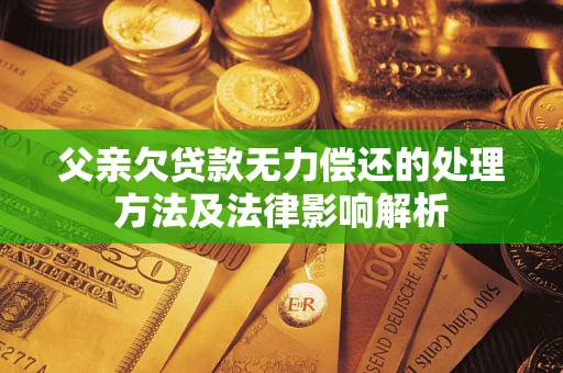 北京父亲欠贷款无力偿还的处理方法及法律影响解析