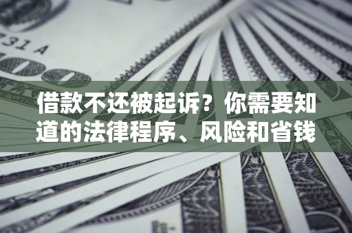 北京借款不还被起诉？你需要知道的法律程序、风险和省钱技巧